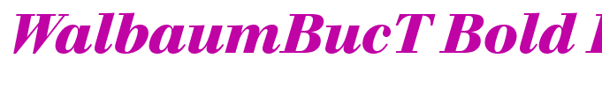 WalbaumBucT Bold Italic